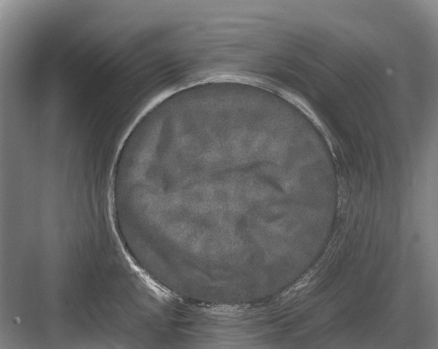 X0000082721048200702161836