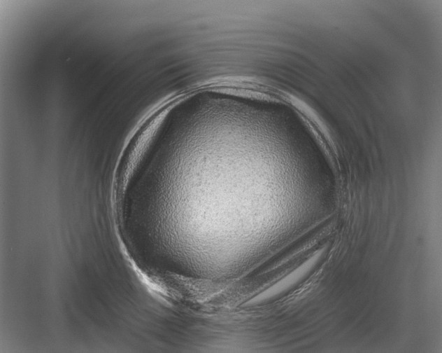 X0000082721050200702161836