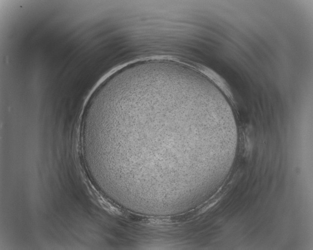 X0000082721052200702161836