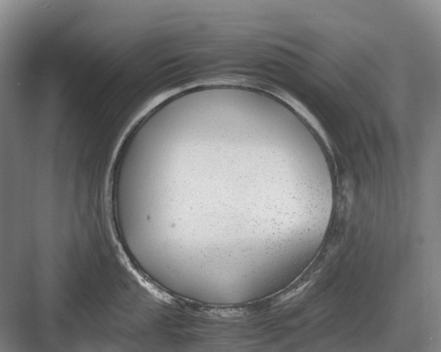 X0000082721053200702161836