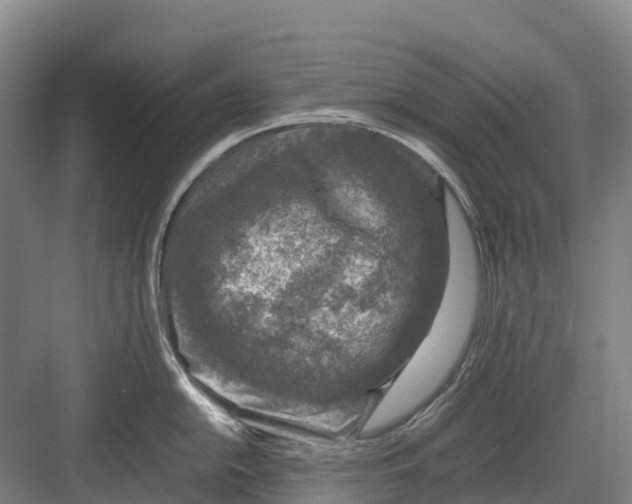 X0000082721054200702161836