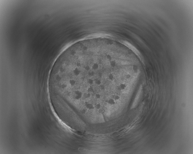 X0000082721055200702161836