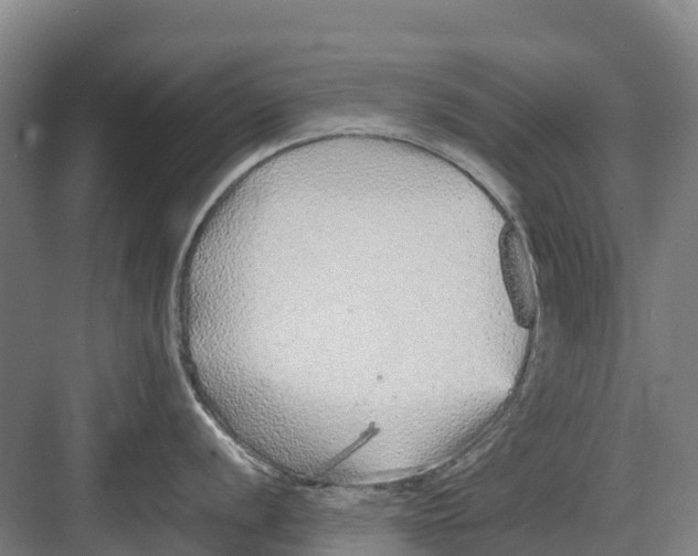 X0000082721056200702161836