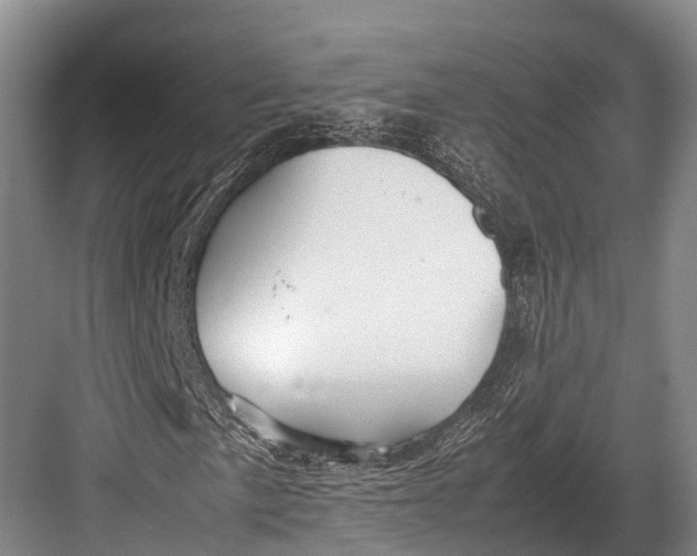 X0000082721057200702161835