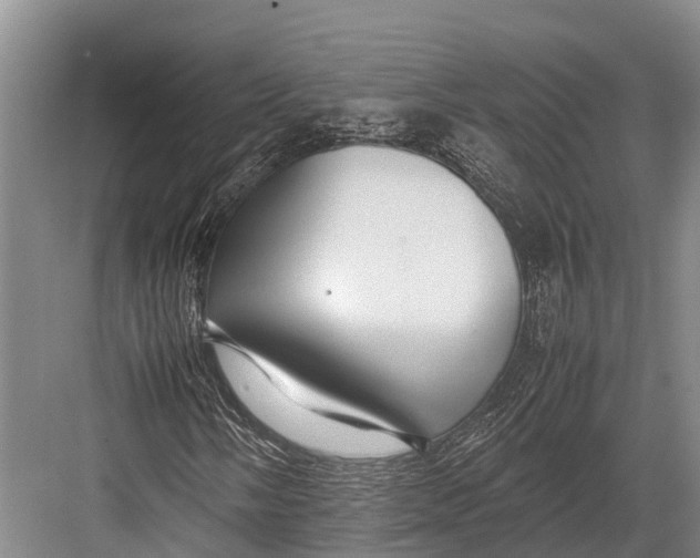 X0000082721058200702161835