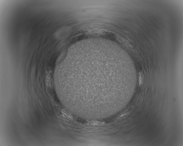 X0000082721059200702161835