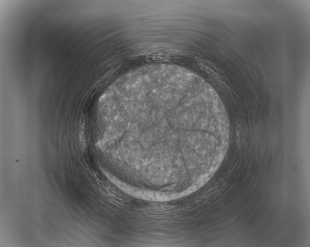 X0000082721060200702161835