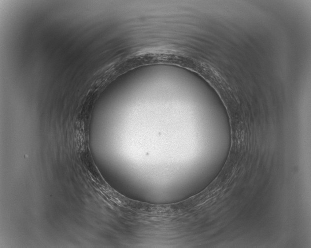 X0000082721062200702161835