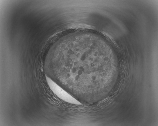 X0000082721063200702161835