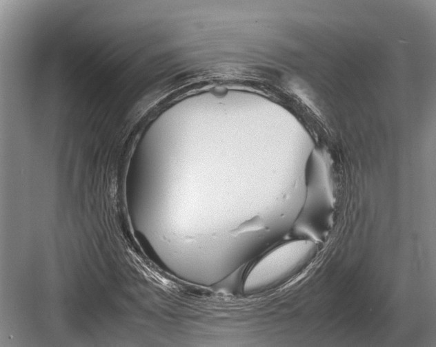 X0000082721065200702161835