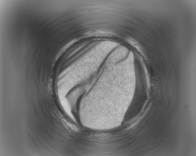 X0000082721066200702161835