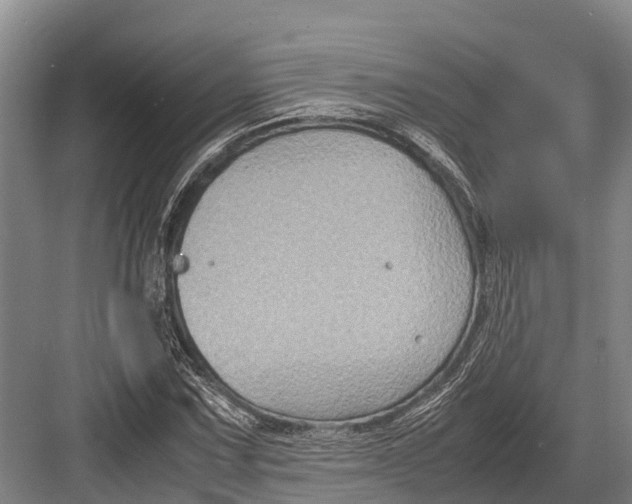 X0000082721067200702161835