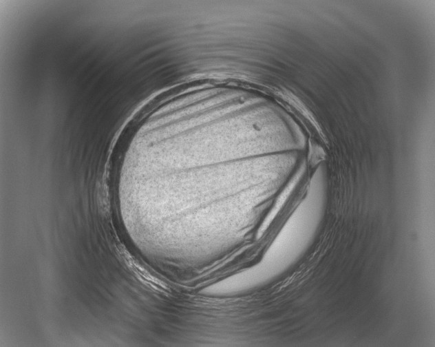 X0000082721068200702161835