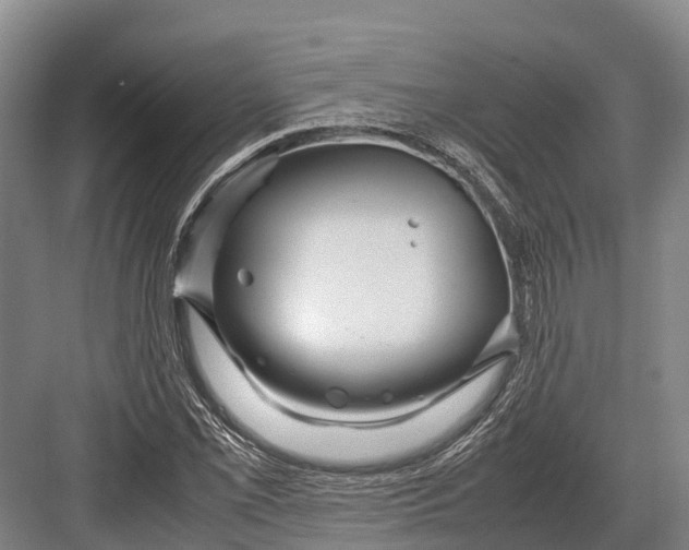 X0000082721069200702161835