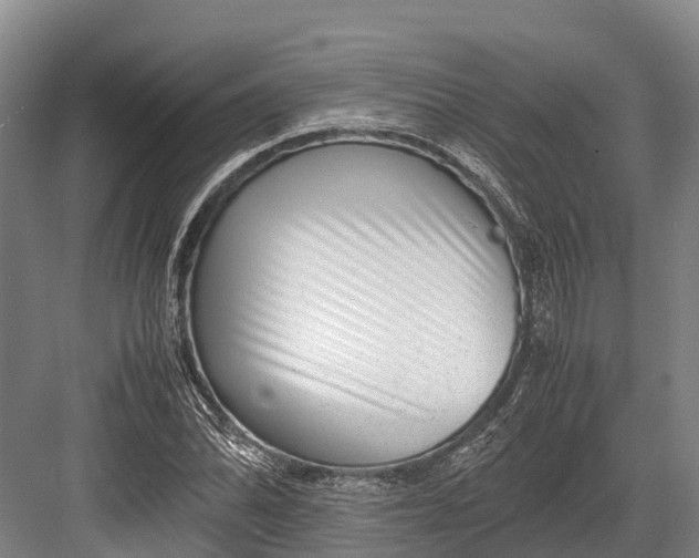 X0000082721070200702161835