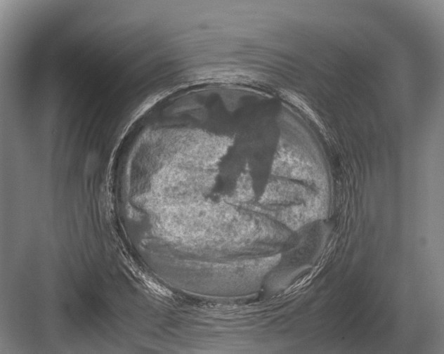 X0000082721071200702161835