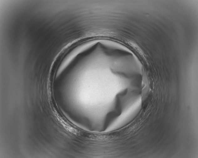 X0000082721072200702161835