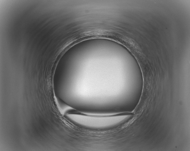 X0000082721073200702161835