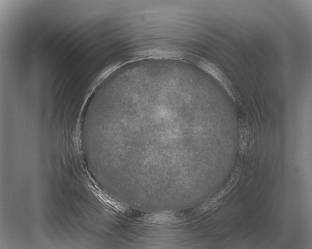 X0000082721074200702161835