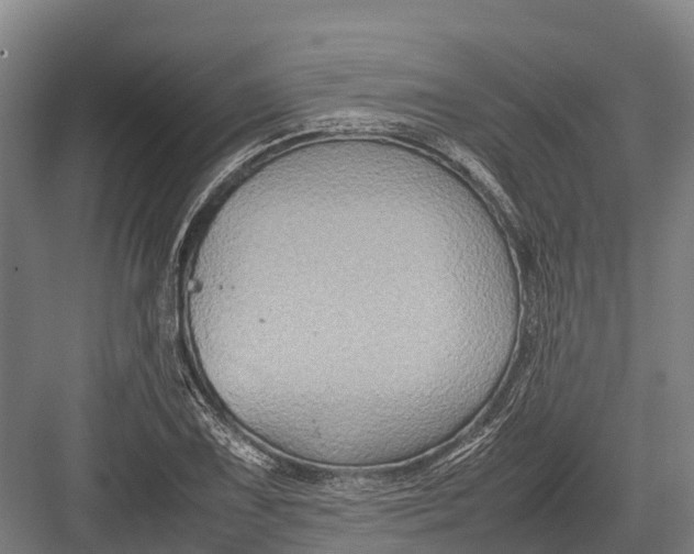 X0000082721075200702161835