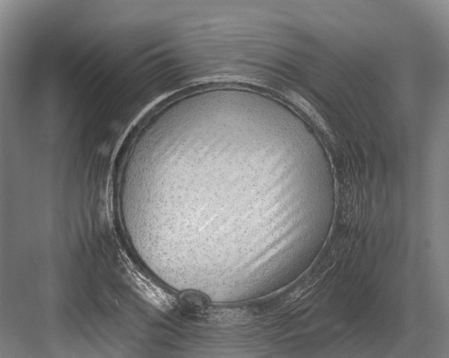 X0000082721076200702161835