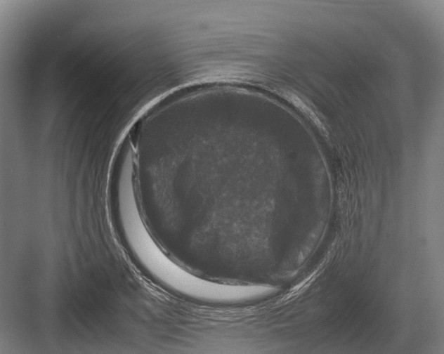 X0000082721077200702161835