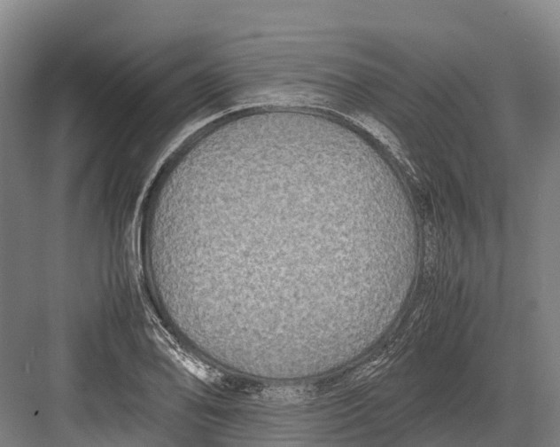 X0000082721078200702161835