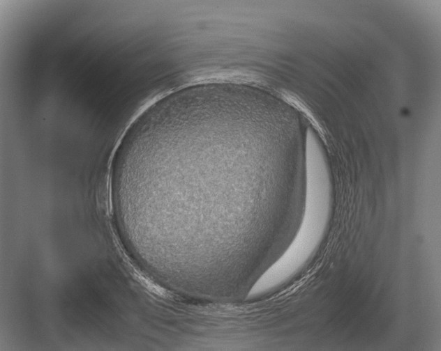 X0000082721079200702161835