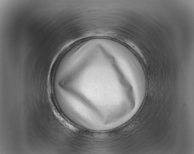 X0000082721080200702161835