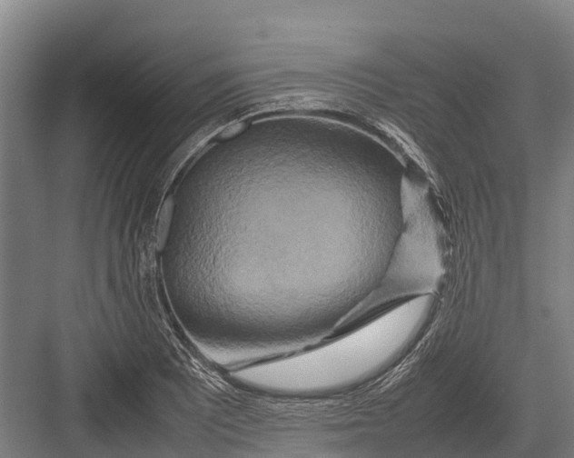 X0000082721081200702161835