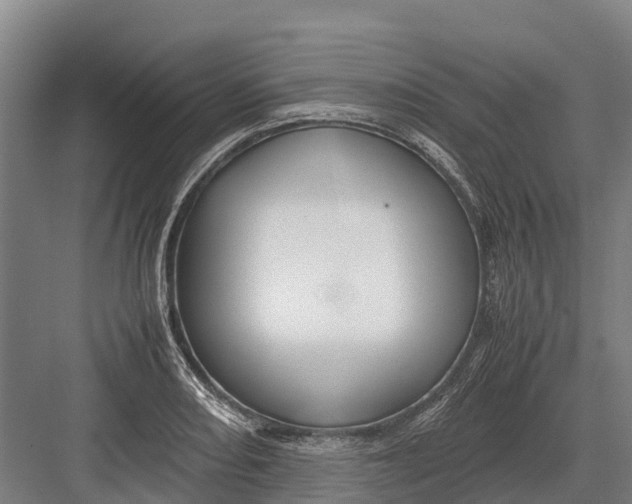 X0000082721082200702161835