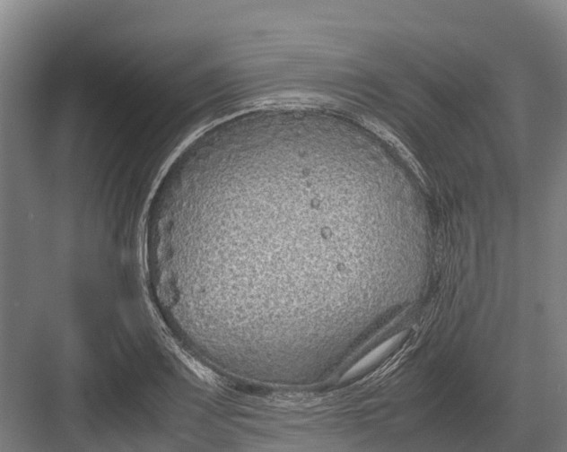 X0000082721083200702161835