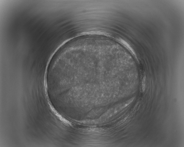 X0000082721084200702161835