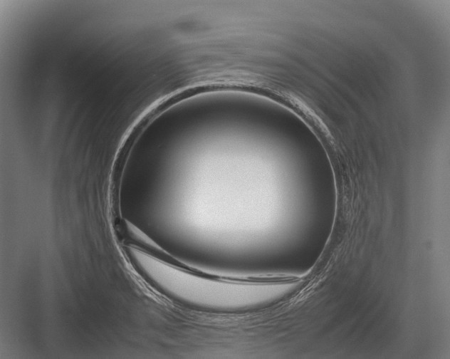 X0000082721085200702161835