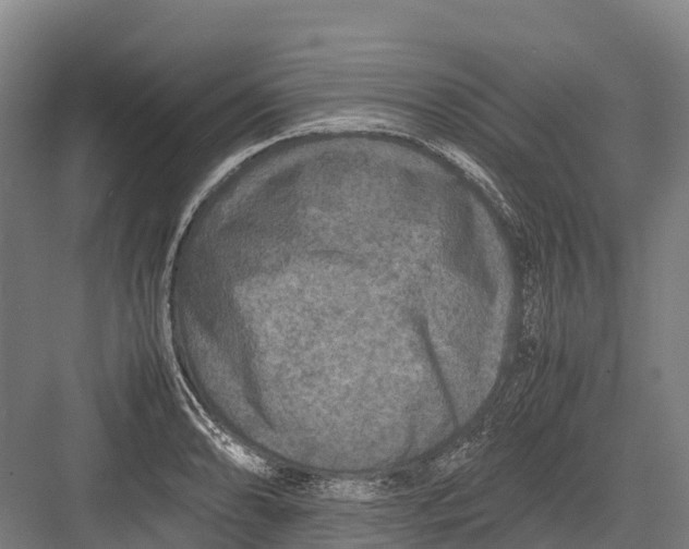 X0000082721086200702161835