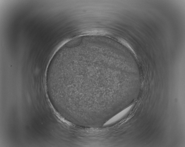 X0000082721087200702161835