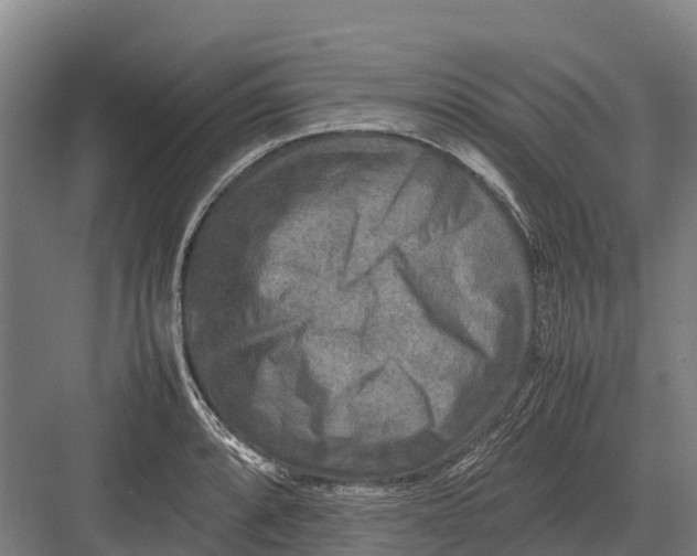 X0000082721088200702161835