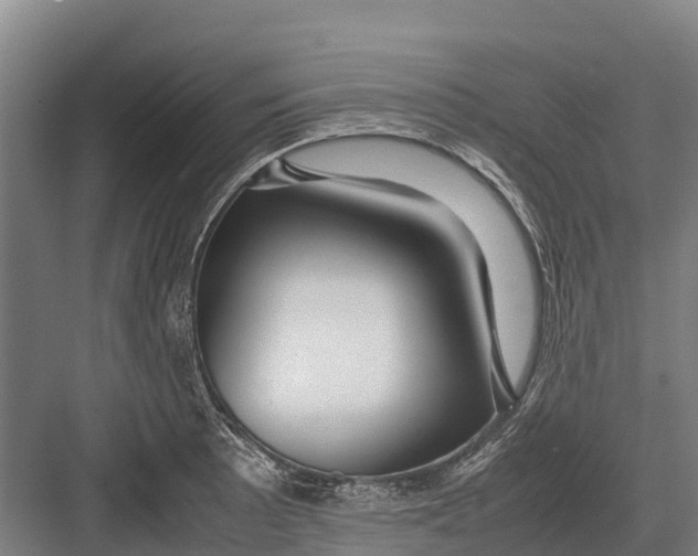 X0000082721089200702161835