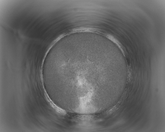 X0000082721090200702161835