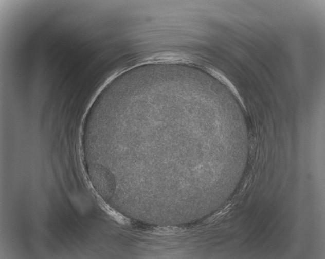 X0000082721091200702161835