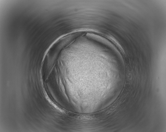 X0000082721092200702161835