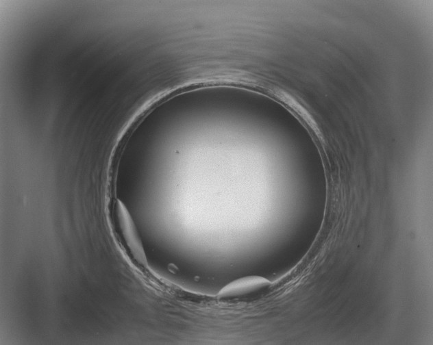 X0000082721093200702161835