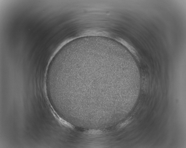 X0000082721094200702161835