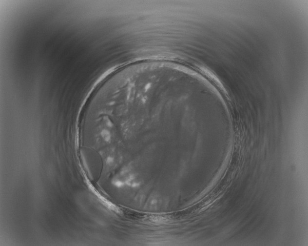 X0000082721095200702161835