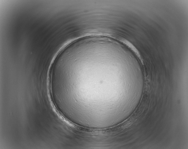 X0000082721096200702161835