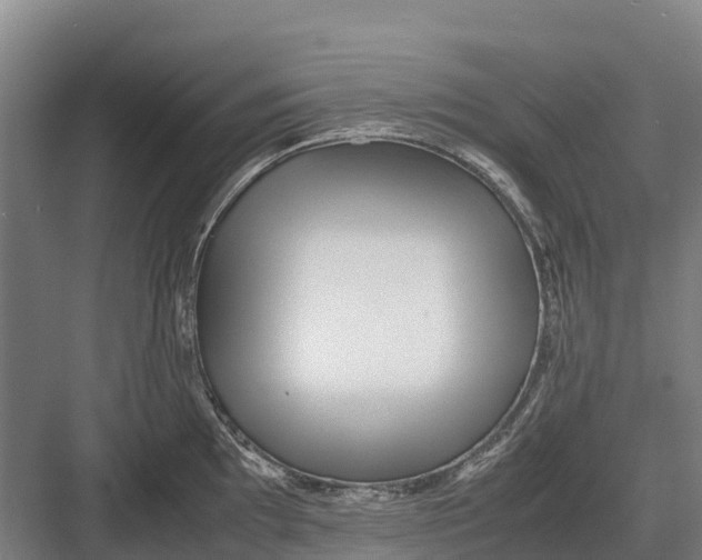 X0000082721097200702161835