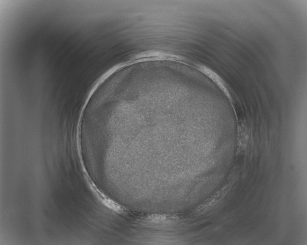 X0000082721098200702161835