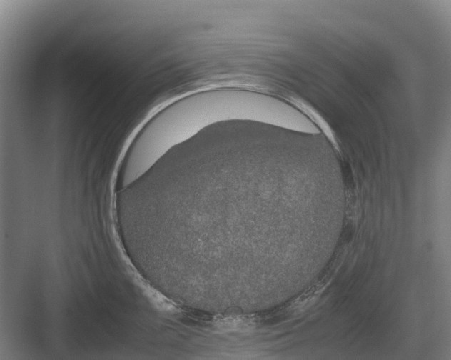 X0000082721099200702161835