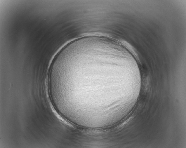 X0000082721100200702161835