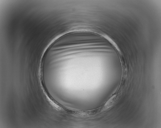 X0000082721101200702161835